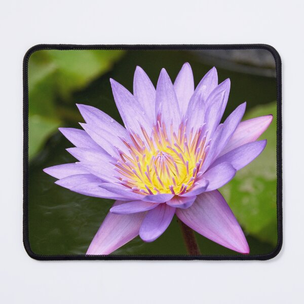 Item preview, "Blue Lotus" designed and sold by Andreas Koerner.