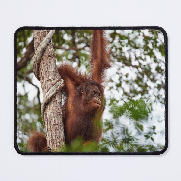 Item preview, "Observer" designed and sold by Andreas Koerner.