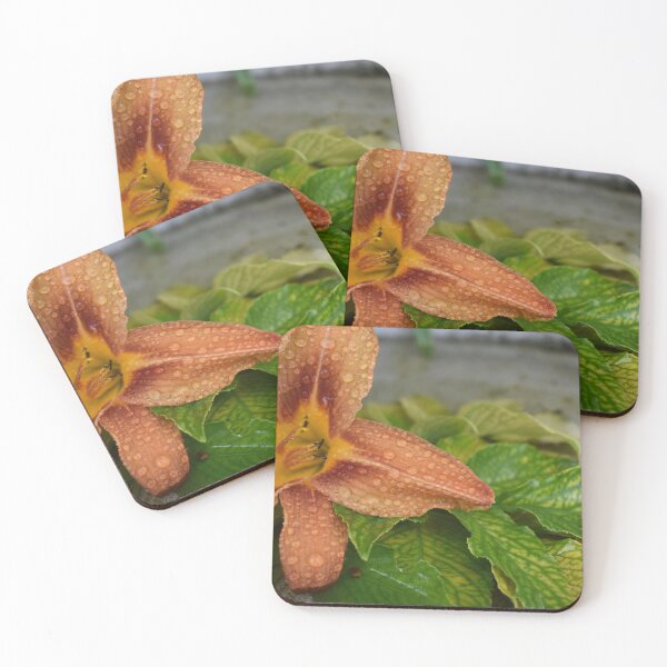 Item preview, A flower in the garden designed and sold by Claude Laprise.