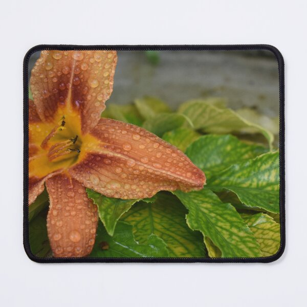 Item preview, A flower in the garden designed and sold by Claude Laprise.