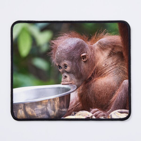 Item preview, "cuteness" 1 of 2 designed and sold by Andreas Koerner.