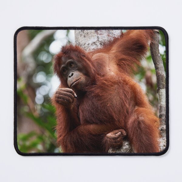 Item preview, "Thinker" designed and sold by Andreas Koerner.