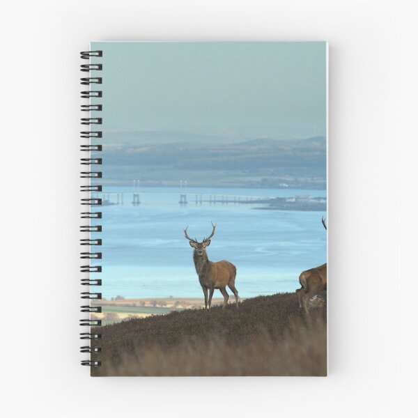Item preview, Stags Above the Beauly Firth designed and sold by Macrae images.