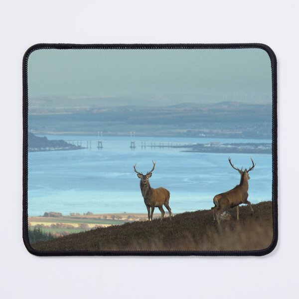 Item preview, Stags Above the Beauly Firth designed and sold by Macrae images.