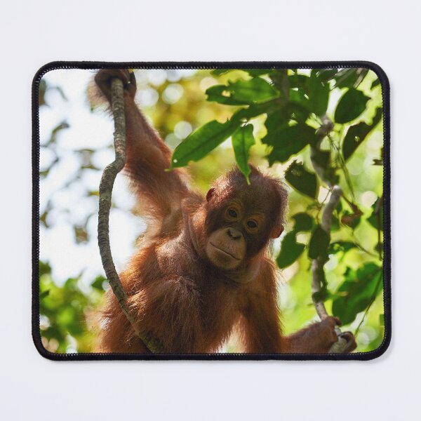 Item preview, "Observer" 2 of 3 designed and sold by Andreas Koerner.