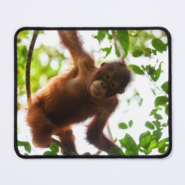 Item preview, "Observer" 1 of 3 designed and sold by Andreas Koerner.