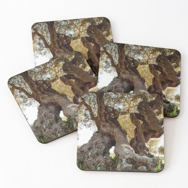 Item preview, Salento olive tree centuries old designed and sold by Falcaria.