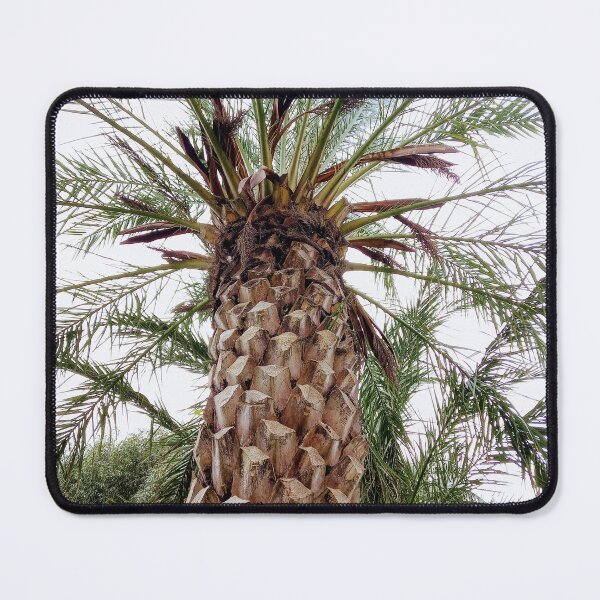 Item preview, Palm designed and sold by Sabinedav.