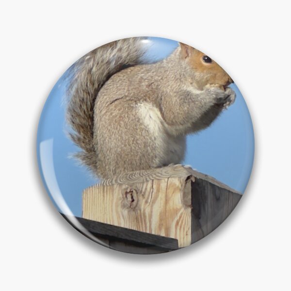 Item preview, Squirrel on Fencepost designed and sold by Jeffrey Bamberger.