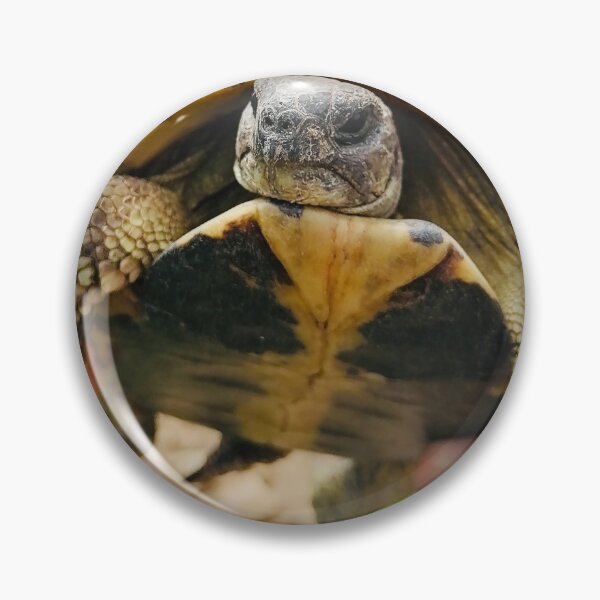 Item preview, Tortoise designed and sold by Sabinedav.