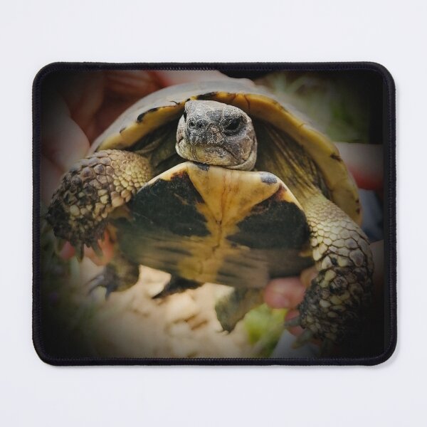 Item preview, Tortoise designed and sold by Sabinedav.
