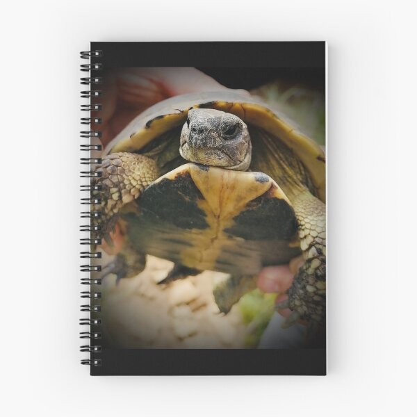Item preview, Tortoise designed and sold by Sabinedav.