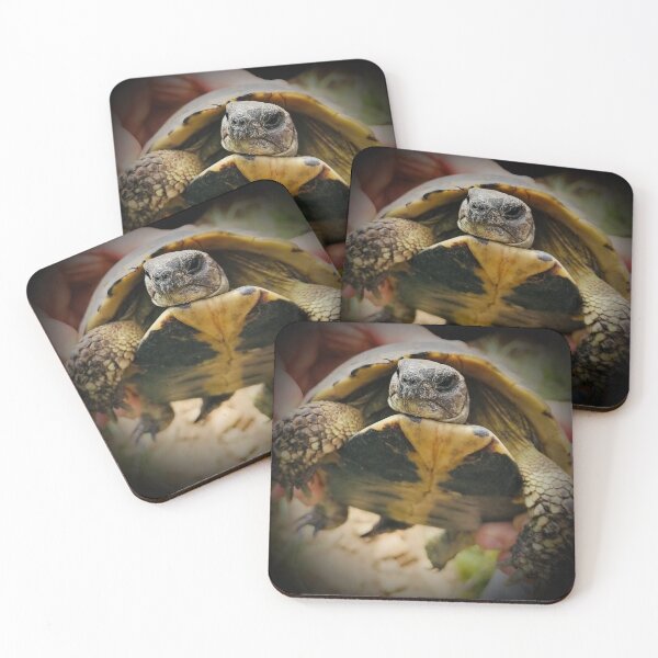 Item preview, Tortoise designed and sold by Sabinedav.