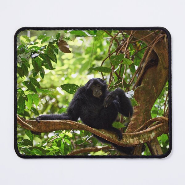 Item preview, "The Siamang family" 4 of 6 designed and sold by Andreas Koerner.