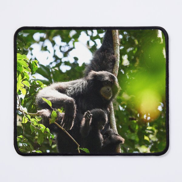 Item preview, "The Siamang family" 3 of 6 designed and sold by Andreas Koerner.