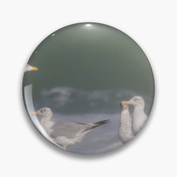 Item preview, European herring gulls designed and sold by Calidris Fotografie Steffi & Ben Köppler.