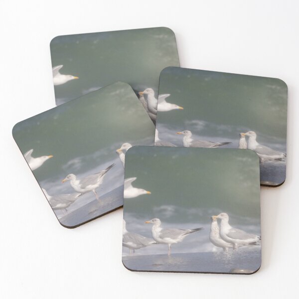 Item preview, European herring gulls designed and sold by Calidris Fotografie Steffi & Ben Köppler.