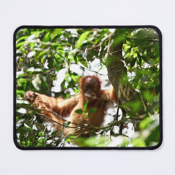 Item preview, "Always in view" designed and sold by Andreas Koerner.