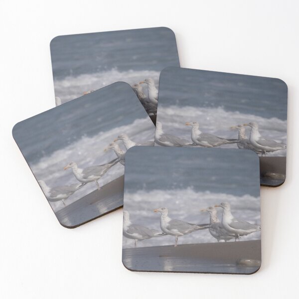 Item preview, European herring gulls designed and sold by Calidris Fotografie Steffi & Ben Köppler.