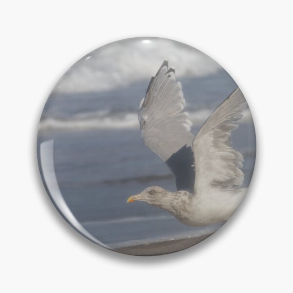 Item preview, European herring gull designed and sold by Calidris Fotografie Steffi & Ben Köppler.