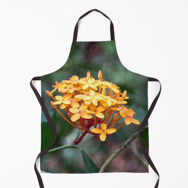 Item preview, "Ixora coccinea" designed and sold by Andreas Koerner.