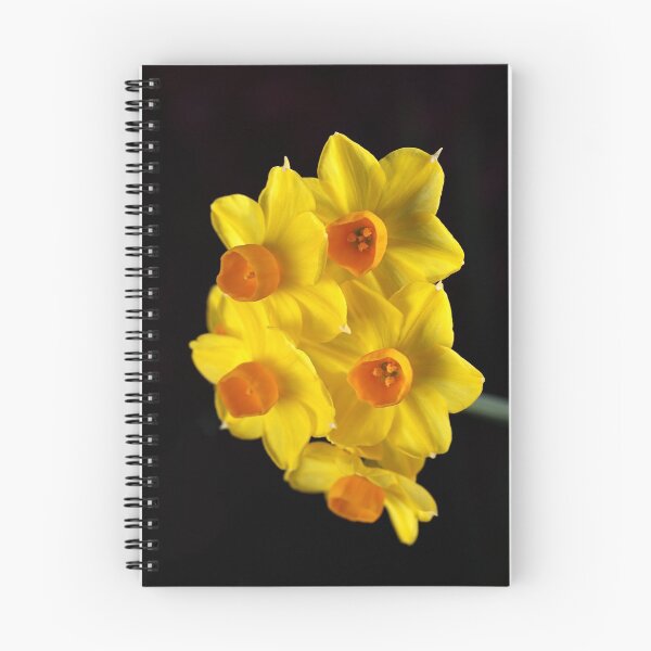 Item preview, Wonderful Jonquils designed and sold by Joy Watson - Natural Light Photography .