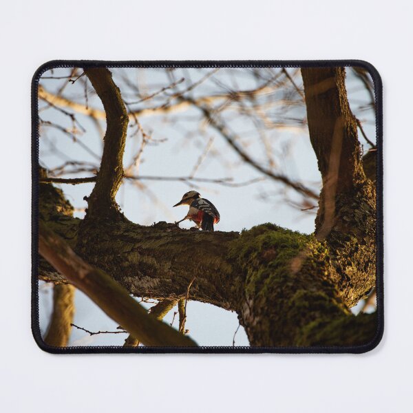 Item preview, "Great Spotted Woodpecker in search of food" designed and sold by Andreas Koerner.