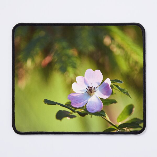 Item preview, "Rosehip Bloom"  designed and sold by Andreas Koerner.