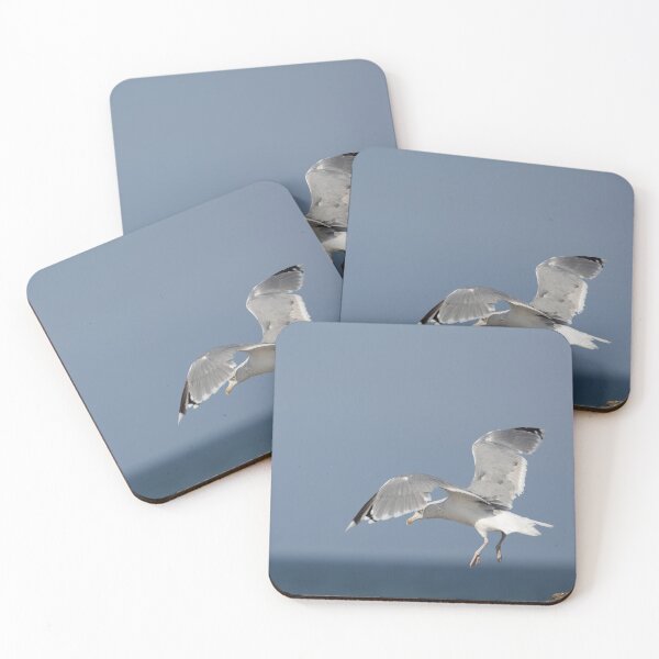 Item preview, Flying European herring gull designed and sold by Calidris Fotografie Steffi & Ben Köppler.