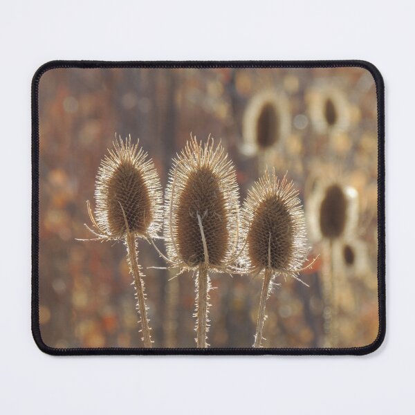 Item preview, Winter Beauty designed and sold by annAHorton.