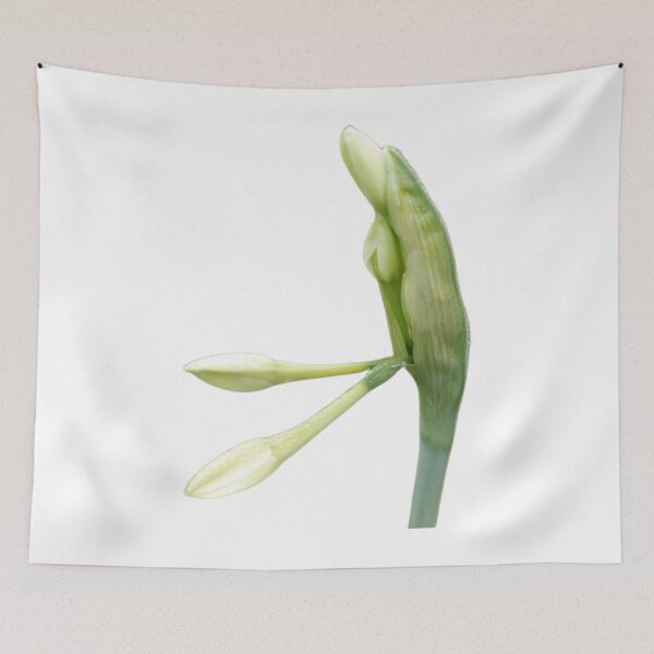 Item preview, A rose is blooming designed and sold by El marbouh yahya.