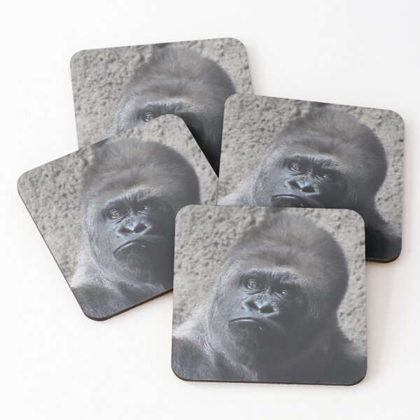 Item preview, Western Lowland Gorilla  designed and sold by Sharon the Zoo Lady Photography .