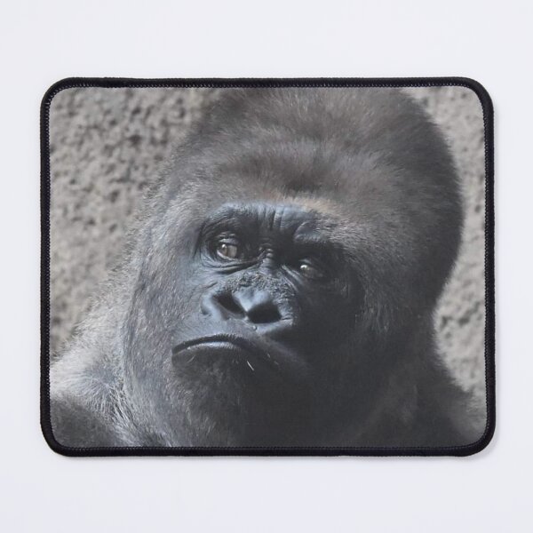 Item preview, Western Lowland Gorilla designed and sold by Sharon the Zoo Lady Photography .