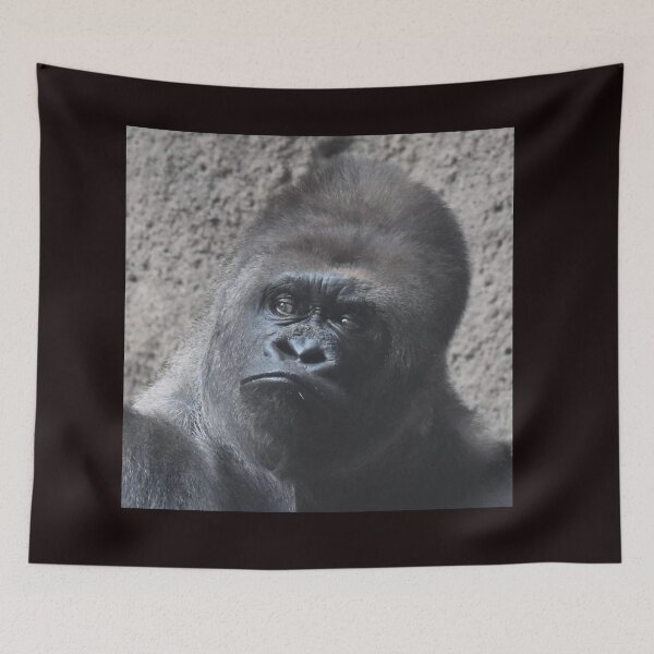 Item preview, Western Lowland Gorilla  designed and sold by Sharon the Zoo Lady Photography .