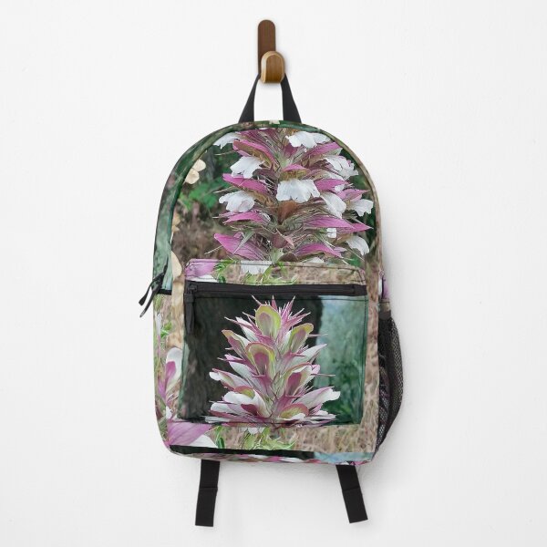 Item preview, Flower Acanthus spinosus, Thorny Acanthus designed and sold by Sabinedav.