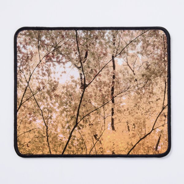 Item preview, Autumn Forest Glow designed and sold by CE Designworks.