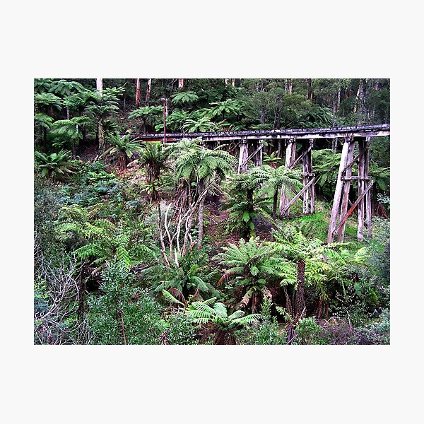 Item preview, Railway Wooden Bridge for Puffing Billy designed and sold by ginnymac.