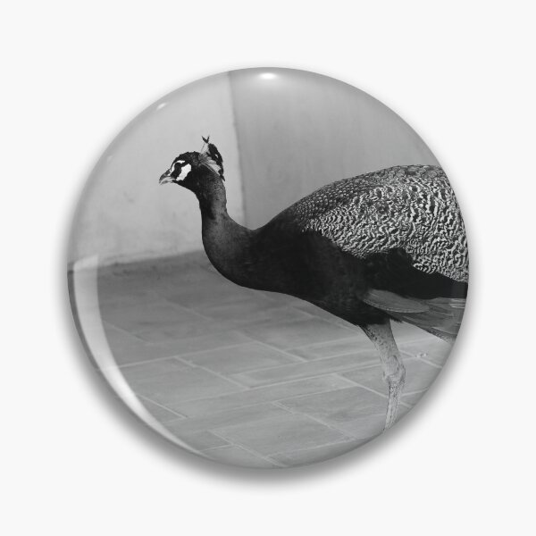 Artikelvorschau, Strut Your Stuff Peacock bw entworfen und verkauft von eddiebarronshop.