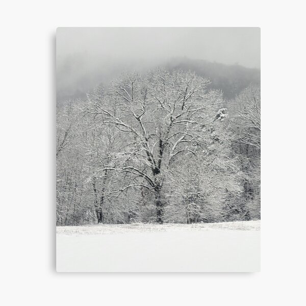 Item preview, Snowy Tree designed and sold by PodTidings.