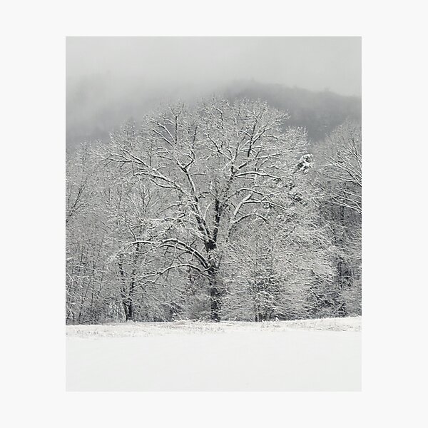 Item preview, Snowy Tree designed and sold by PodTidings.
