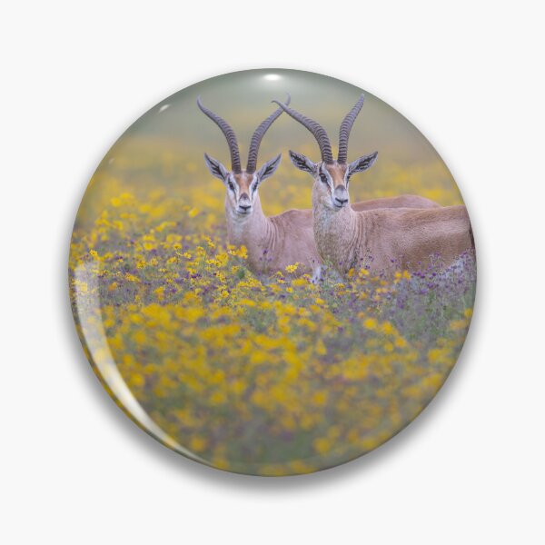 Item preview, Pair of Grants Gazelles Tanzania Africa designed and sold by PhotoArt by Joan Carroll.