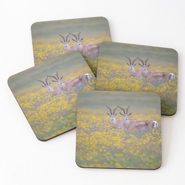 Item preview, Pair of Grants Gazelles Tanzania Africa designed and sold by PhotoArt by Joan Carroll.