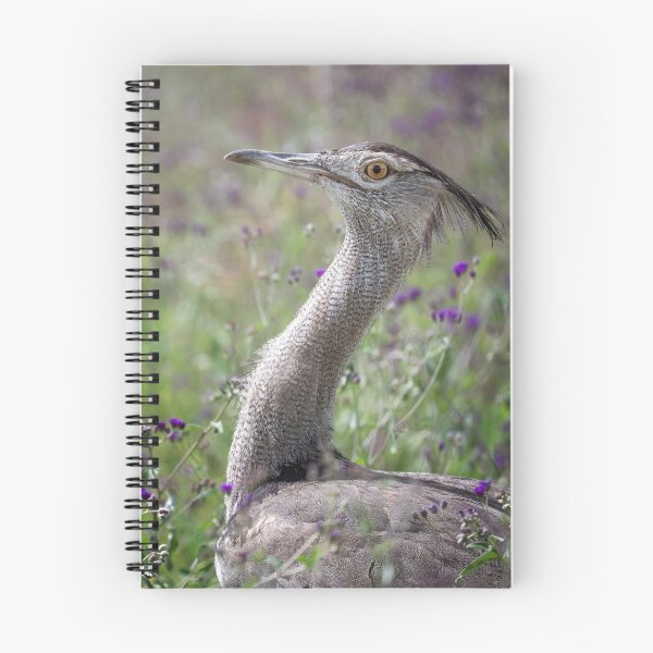 Item preview, Kori Bustard Tanzania Africa designed and sold by PhotoArt by Joan Carroll.