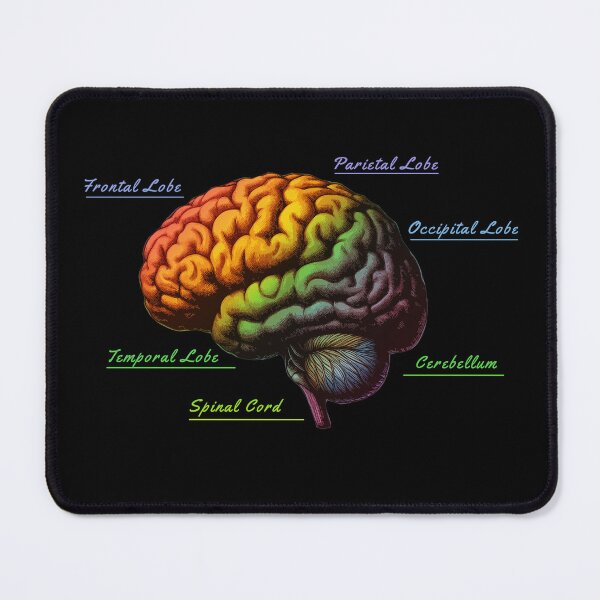 Item preview, Anatomy Brain, leaves, positivity, creativity, right hemisphere brain, health, Mental, mind designed and sold by Collagedream.