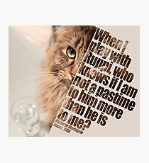 Cat picture by Ruppi - diagonal Photographic Print