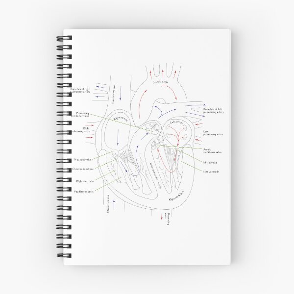 Item preview, Anatomy of the Heart (with text) designed and sold by Joseph Bangsund.