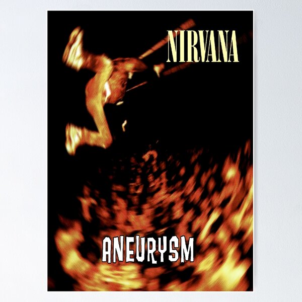 Nirvana Nevermind 90s Rock Album Cover Wall Art Poster – Aesthetic Wall  Decor