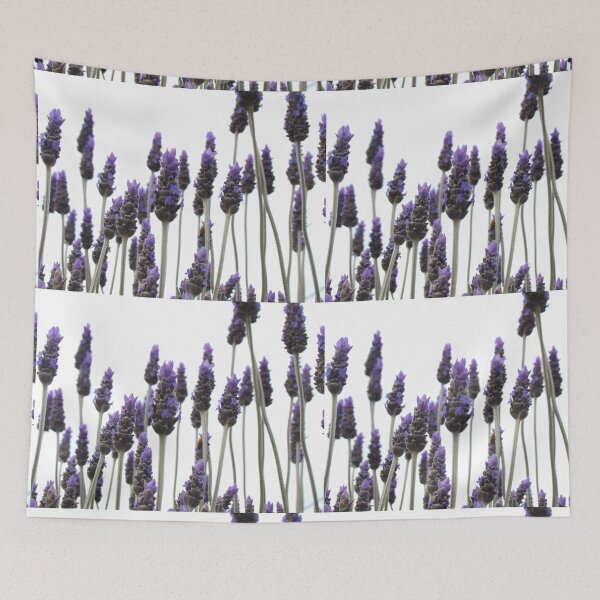 Item preview, Lavender contrasts designed and sold by Jan Stead JEMproductions.