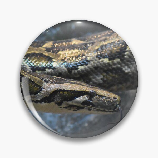 Item preview, Snake designed and sold by megjayne-photos.