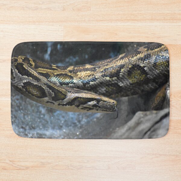 Item preview, Snake designed and sold by megjayne-photos.